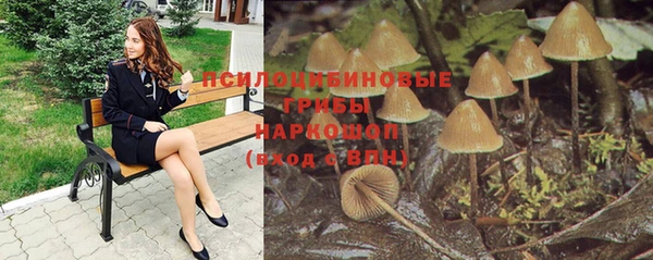 амф Балахна