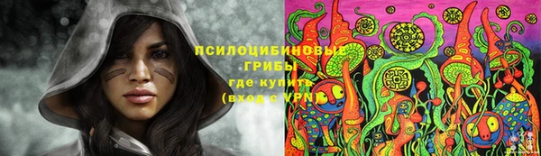 амф Балахна
