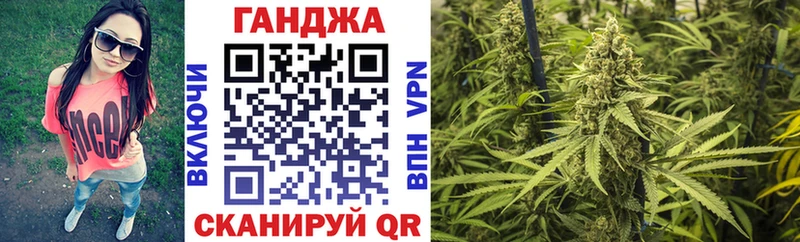 продажа наркотиков  Чудово  Бошки Шишки SATIVA & INDICA 